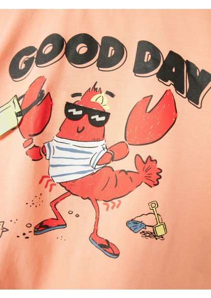 NMMFISH NREG SS TOP BOX Pembe Erkek Çocuk Kısa Kol T-Shirt modelleri