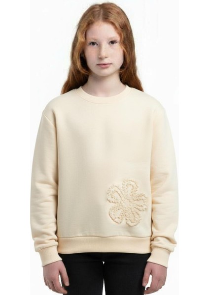 Kız Çocuk Sweatşirt 1-4 Yaş 39610