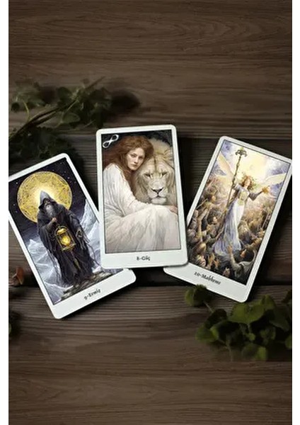 Mistik Cadı Tarot / 78 Kart ve Rehber Kitap