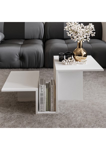 Inarch Dizayn Relinda Modern Orta Sehpa – Şık ve Fonksiyonel