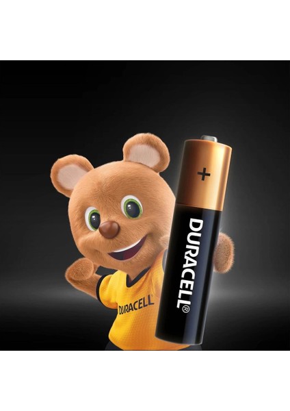 Bfs Duracell 6'lı Aaa Ince Kalem Pil modelleri