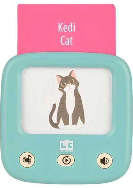 Bfs Lc Öğretici Türkçe Ingilizce Konuşan Flash Kartlar 31050 fırsatları