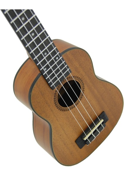 LSK2122N Ukulele Cilasız, Mat Kılıf Hediyeli modelleri
