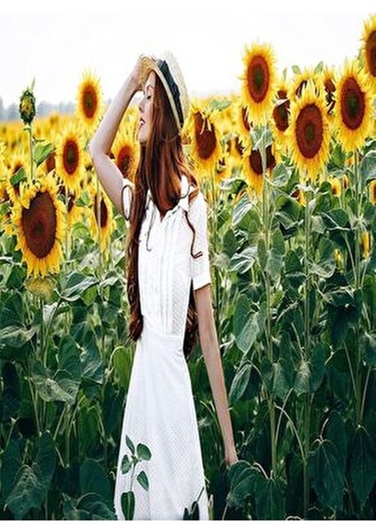 Beyaz Çamaşır Mendili 20 Adet Hassas Kumaşlar için Yüksek Beyazlatma Gücü fiyatları