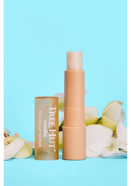 Vanilla Shea Sugar Lip Scrub Dudak Peelingi 3.5gr modelleri