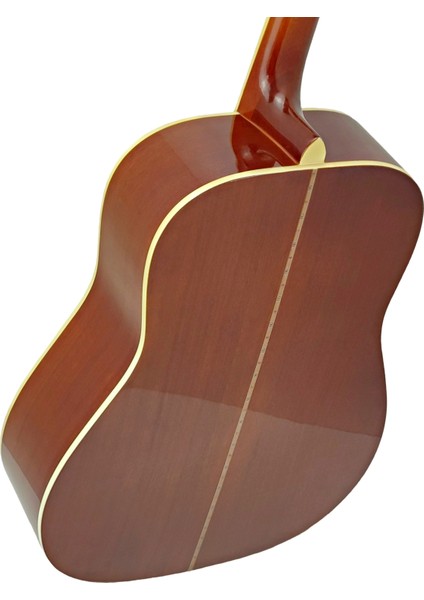 LFG068 Akustik Gitar Kılıf Hediyeli