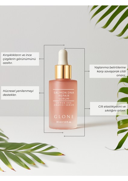 Somon DNA Onarıcı Yüz Serumu | 30ml | Somon Dna & Kolajen | Yaşlanma Karşıtı ve Yenileyici indirimleri