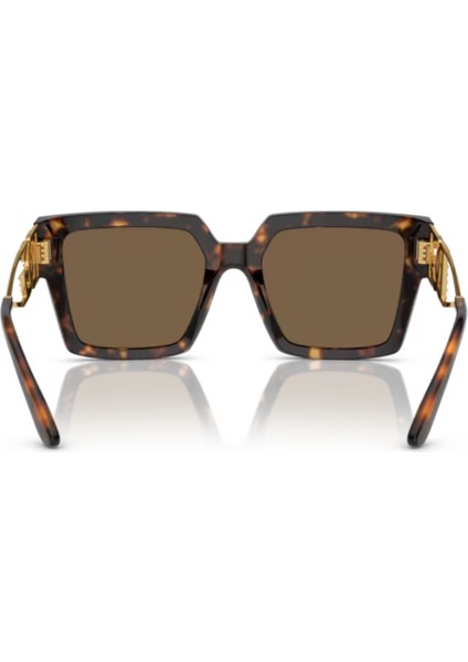 0DG4446B 502/73 53 Kadın Güneş Gözlüğü