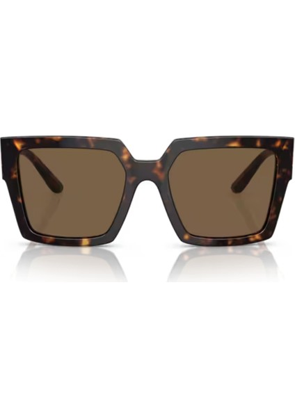 0DG4446B 502/73 53 Kadın Güneş Gözlüğü