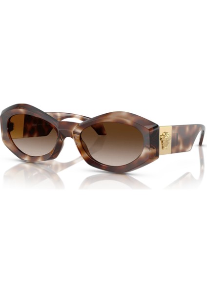 4466U 54613B 54 Kadın Güneş Gözlüğü Kadın Güneş Gözlüğü fırsatları