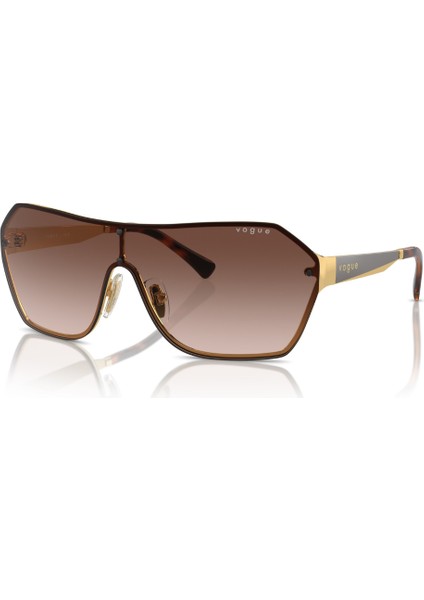 4302S 280/13 41 Kadın Güneş Gözlüğü Kadın Güneş Gözlüğü