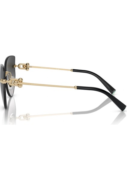 Tiffany&Co TF3096/60213C Kadın Güneş Gözlüğü