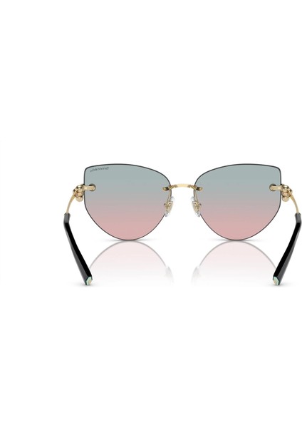 Tiffany&Co TF3096/610516 Kadın Güneş Gözlüğü