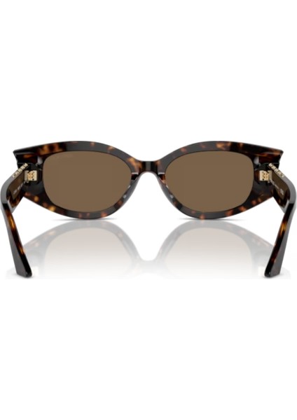 Jımmy Choo 5015U 500273 62-17 Kadın Güneş Gözlüğü