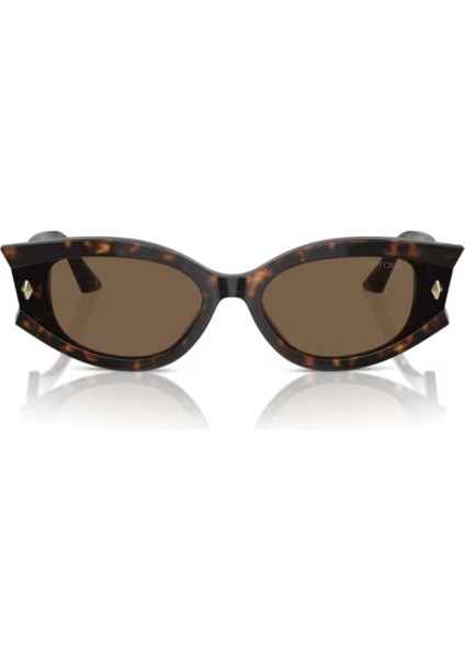 Jımmy Choo 5015U 500273 62-17 Kadın Güneş Gözlüğü