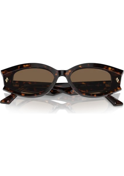 Jımmy Choo 5015U 500273 62-17 Kadın Güneş Gözlüğü