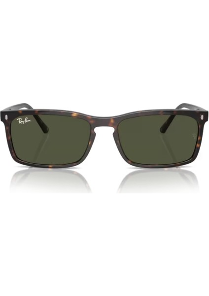0RB4435 902/31 56 Unisex Güneş Gözlüğü