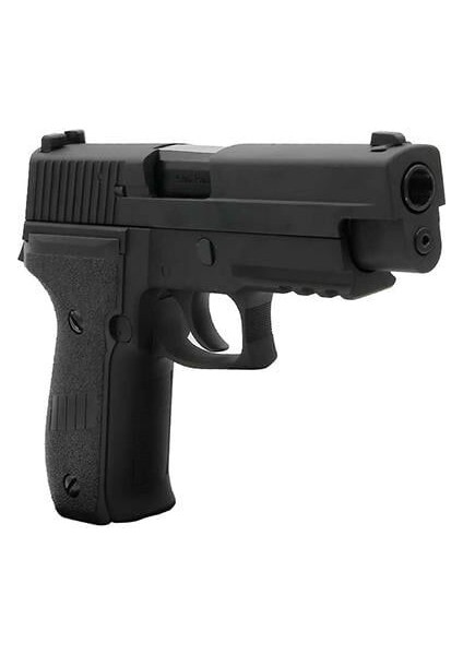 Sig Sauer F226 + Green Gas + 1 kg Bb + Taşıma Çantası + Atış Gözlüğü indirimleri