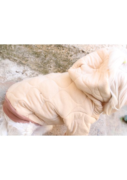 Kapüşonlu Bej Köpek Sweatshirt – Kalın Cift Kat Kapitone Kumaş Kışlık Evcil Hayvan Giysisi modelleri
