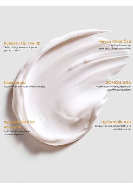 Yaşlanma Karşıtı Kolajen Krem | 50ml | Somon DNA & Niasinamid | Sıkılaştırıcı, Leke Karşıtı ve Yoğun Nemlendirici fırsatları