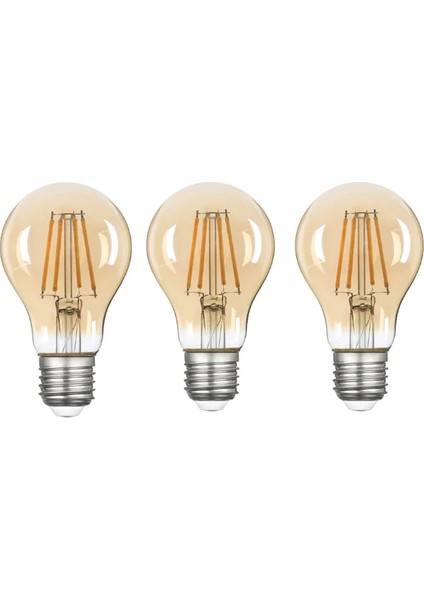 A60 Bal Cam LED Ampul 6W 2500K E27 (Gün Işığı) 3'lü Erd-37