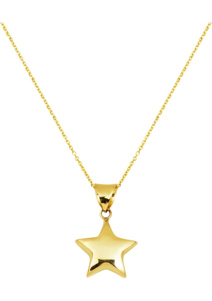 14 Ayar Altın Yıldız Kolye
