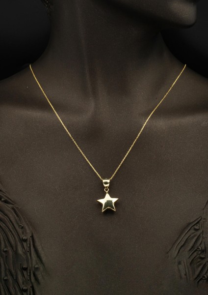 14 Ayar Altın Yıldız Kolye fiyatları