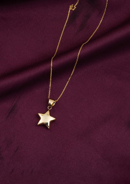 14 Ayar Altın Yıldız Kolye fırsatları