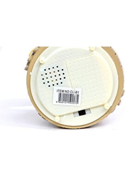 Keman Çalan Papatyalı Kız Püskürtmeli & Işıklı & Müzikli Kar Küresi indirimleri