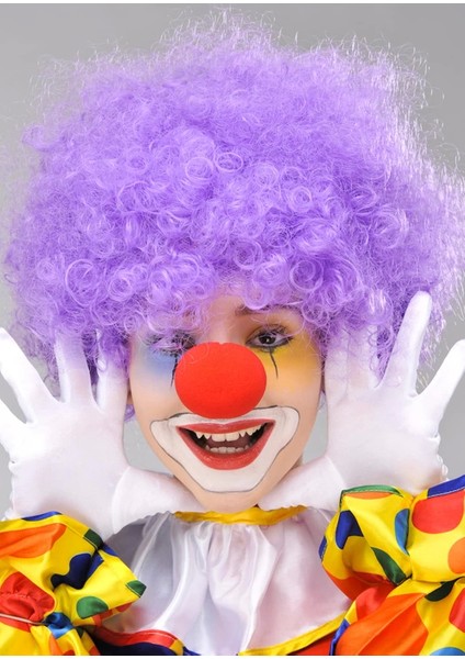 Mor Renk Kıvırcık Afro Bonus Peruk Takma Saç ve Kırmızı Burun Seti fiyatları