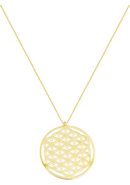 Kazaziye 14 Ayar Altın Kolye