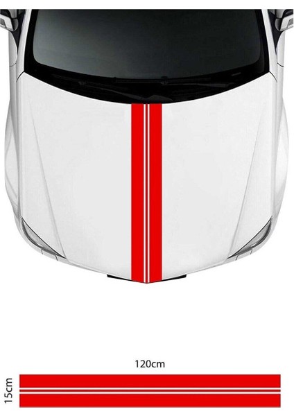 Ön Kaput Renkli Şerit Sticker Sticker Etiket Modeli