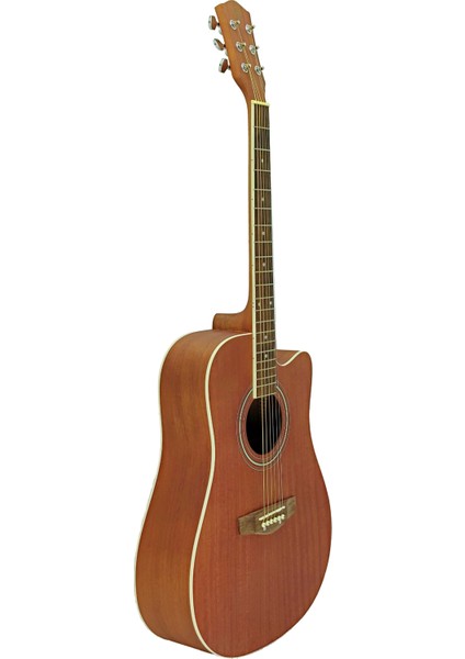 LFG668C Akustik Gitar Kılıf Hediyeli indirimleri