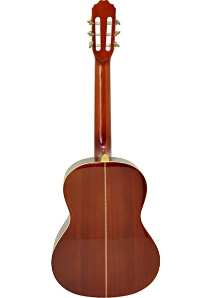 LCG068 Klasik Gitar Kılıf Hediyeli modelleri