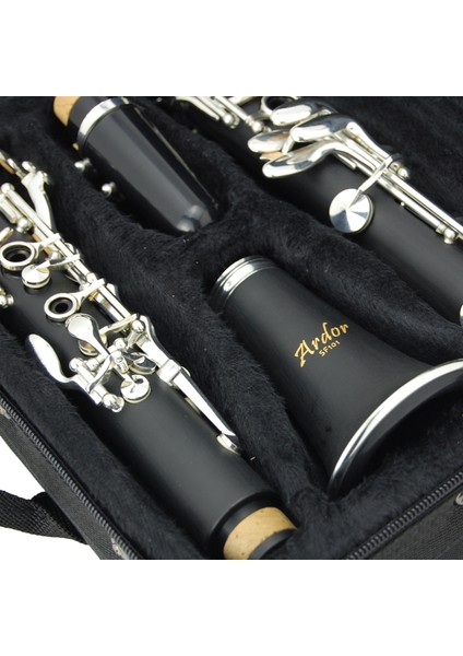 101 Si Bemol Klarnet fiyatları