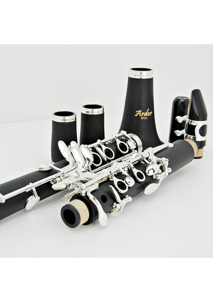 101 Si Bemol Klarnet fırsatları