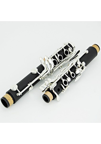 101 Si Bemol Klarnet indirimleri