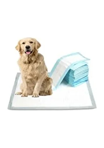 Kedi Köpek Çiş Pedi Yatak Koruyucu Örtü 30'lu Paket Su Geçirmez Nefes Alabilir Özellikte