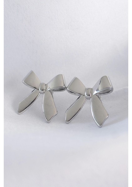 Bfs Pirinç Gümüş Renk Düz Plaka Fiyonk Küpe