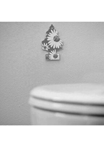 3'lü Türk Bayrağı Vanilya Aromalı Asma Oto Kokusu indirimleri