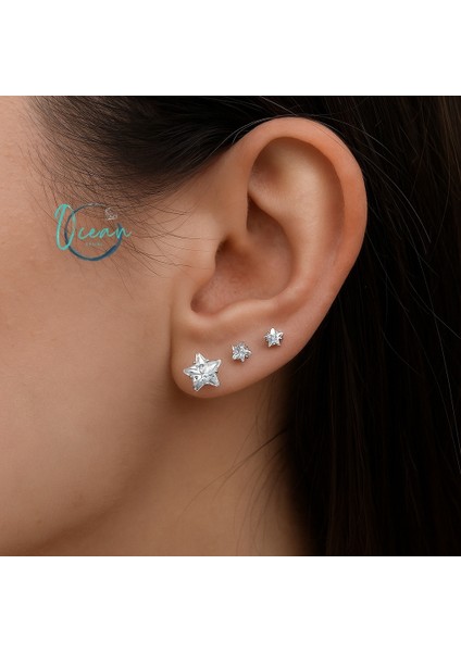 Çelik Gümüş Renk Zirkon Taşlı Yıldız Model Kadın Küpe Seti