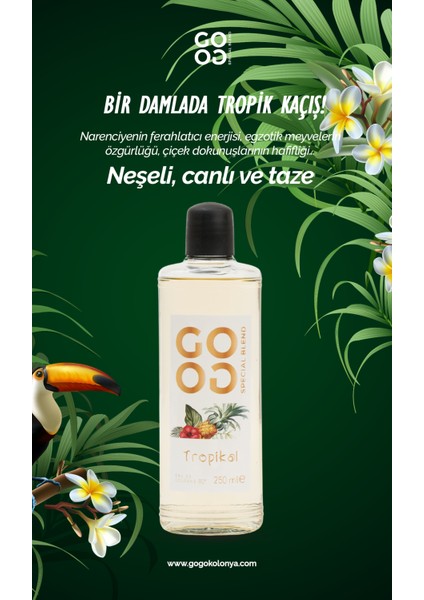 Gogo Tropikal Kolonya 250ML Cam Şişe fırsatları