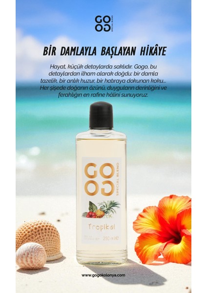 Gogo Tropikal Kolonya 250ML Cam Şişe modelleri