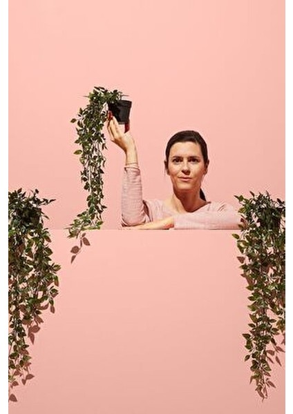 Fejka Yapay Bitki fiyatları