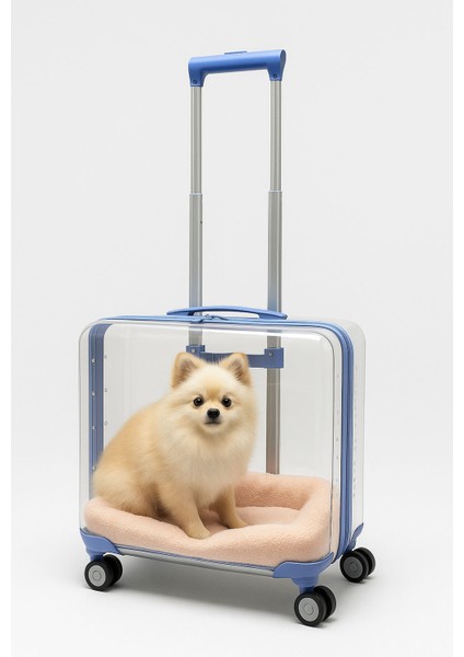 Şeffaf Pet Valiz %100 Polikarbon Valiz 1821 indirimleri