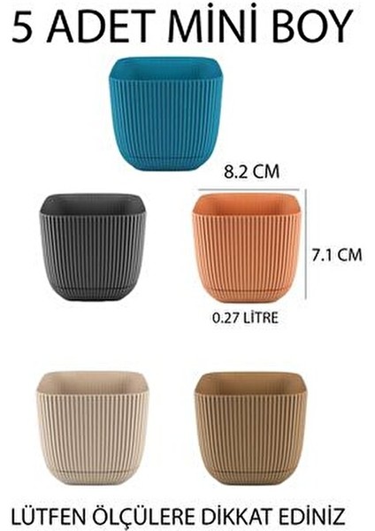 Mini Boy Renkli Mercan Kare Saksı Seti No1 Plastik Malzeme ile Modern Tasarım