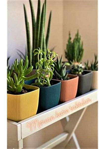 Mini Boy Renkli Mercan Kare Saksı Seti No1 Plastik Malzeme ile Modern Tasarım fırsatları