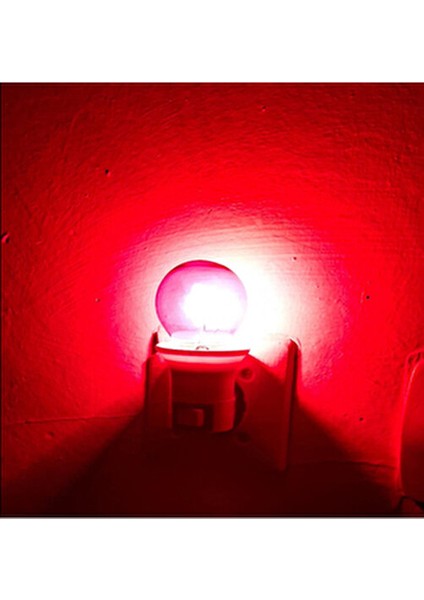 Kırmızı Akkor Flamanlı Top 10 Watt Gece Ampulü 2 Adet fiyatları