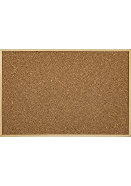 512 Mantar Pano 60X90 Ahşap Çerçeve