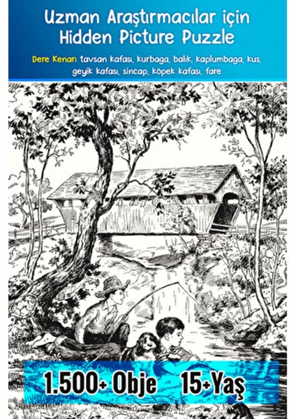Uzmanlar İçin Hidden Pictures 2'li Set 15+ Yaş 251-300 Sayfa Türkçe indirimleri